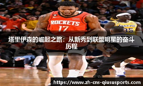 球速体育公司