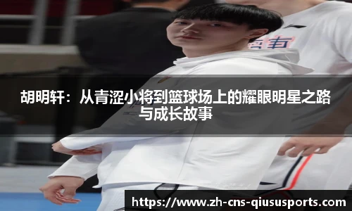 球速体育公司